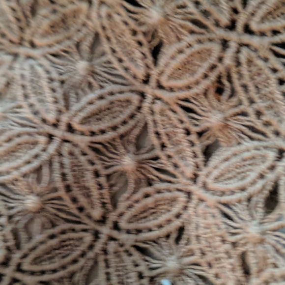 ETCETERA - Picture 3 of 8